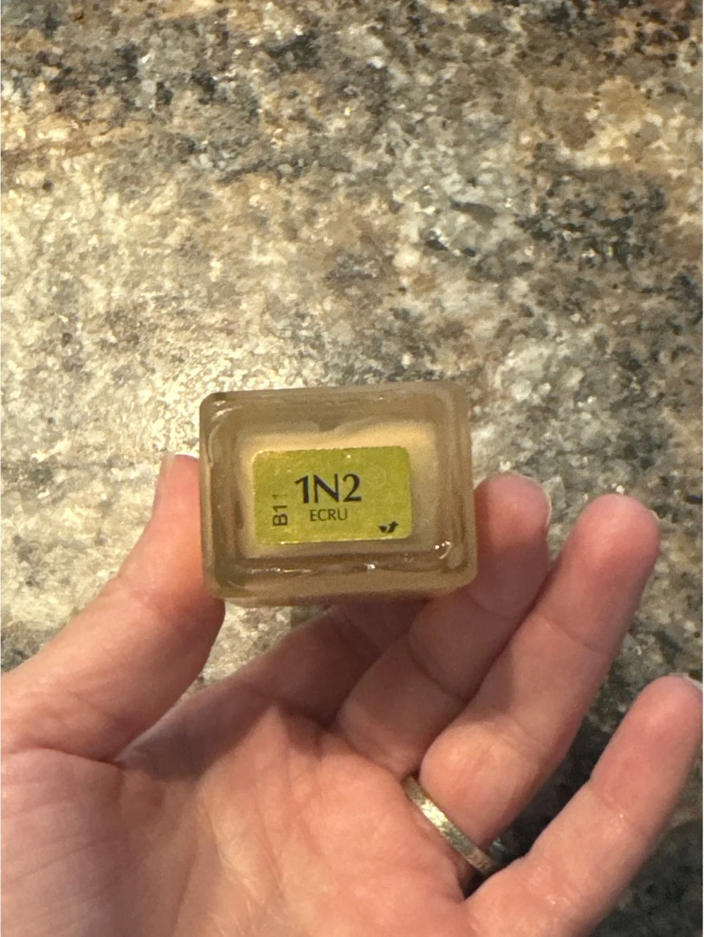 Estée Lauder Double Wear Stay-in-Place Foundation 1N2 Ecru